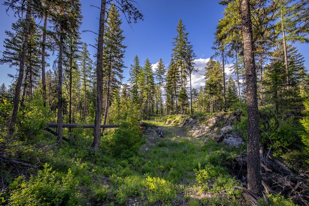 300 Salish Mountains Drive, Whitefish, MT 59937 photo 72