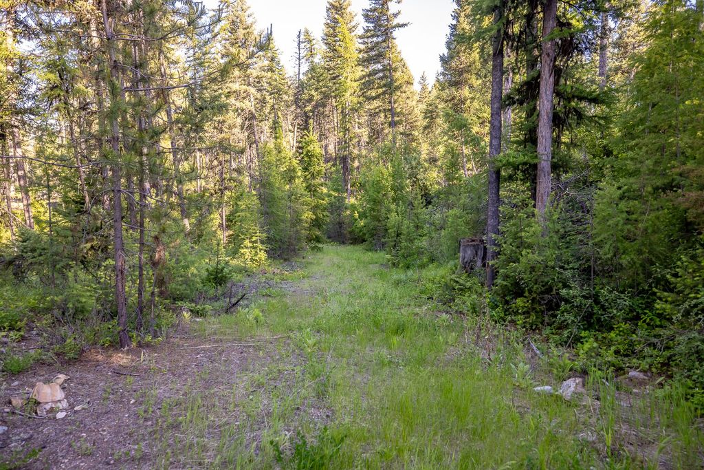 300 Salish Mountains Drive, Whitefish, MT 59937 photo 75