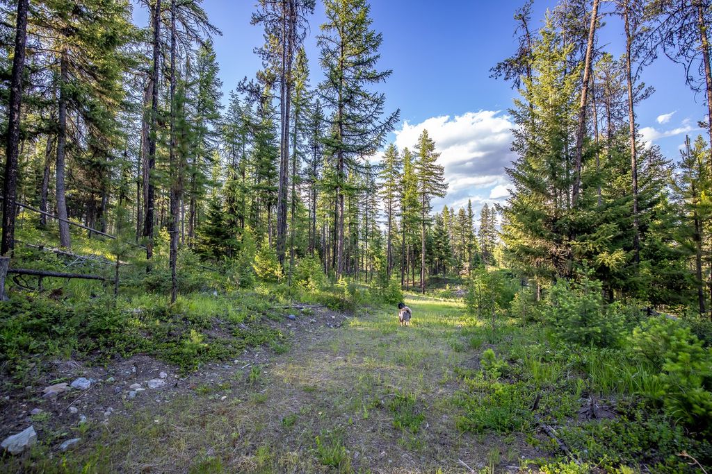 300 Salish Mountains Drive, Whitefish, MT 59937 photo 77