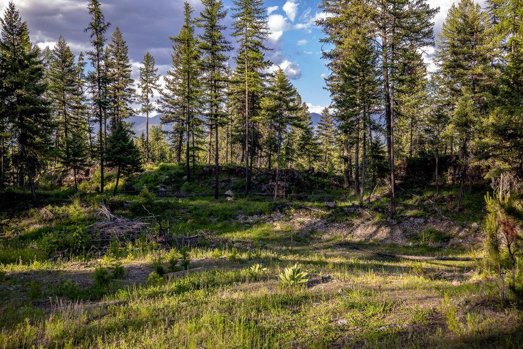 300 Salish Mountains Drive, Whitefish, MT 59937 photo 79