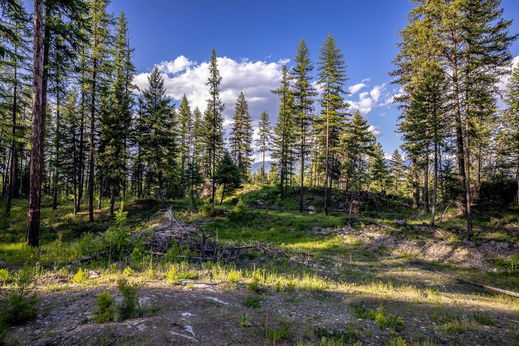 300 Salish Mountains Drive, Whitefish, MT 59937 photo 80