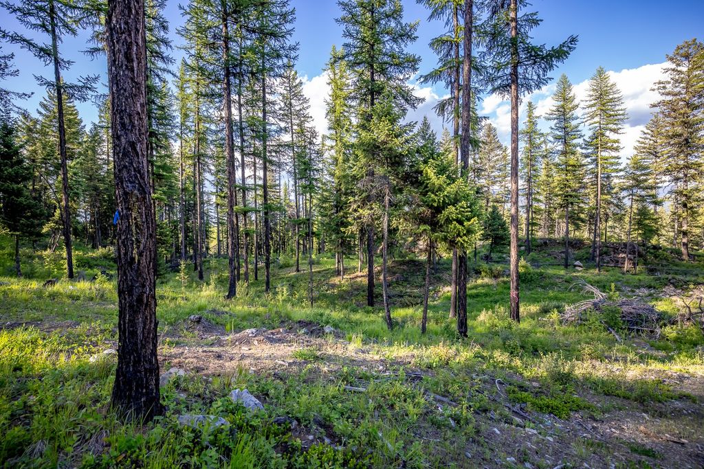 300 Salish Mountains Drive, Whitefish, MT 59937 photo 82