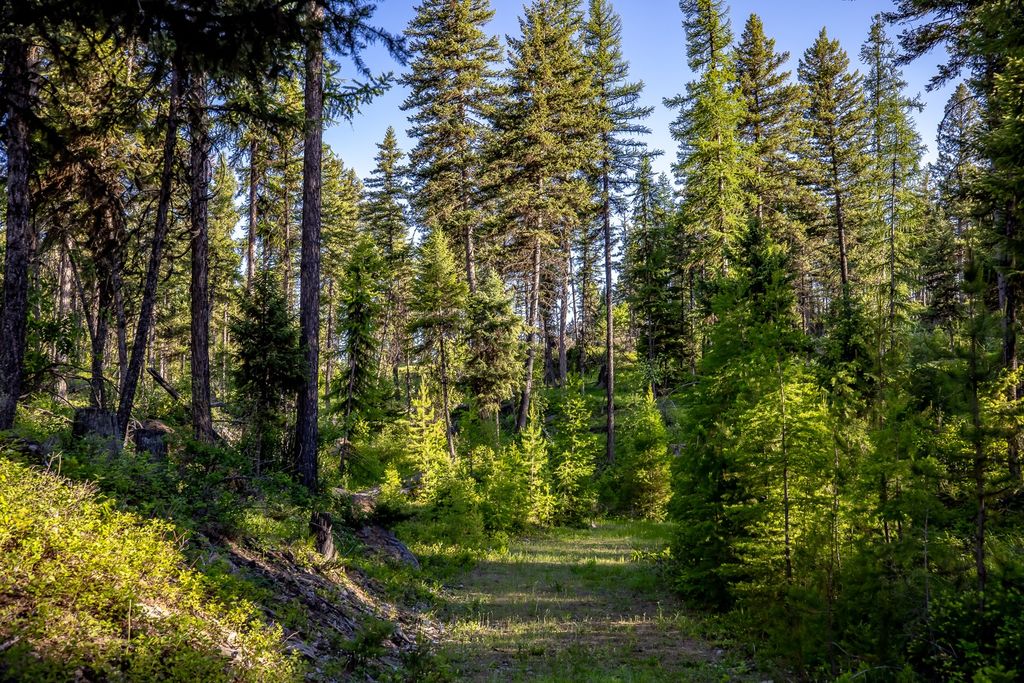 300 Salish Mountains Drive, Whitefish, MT 59937 photo 85