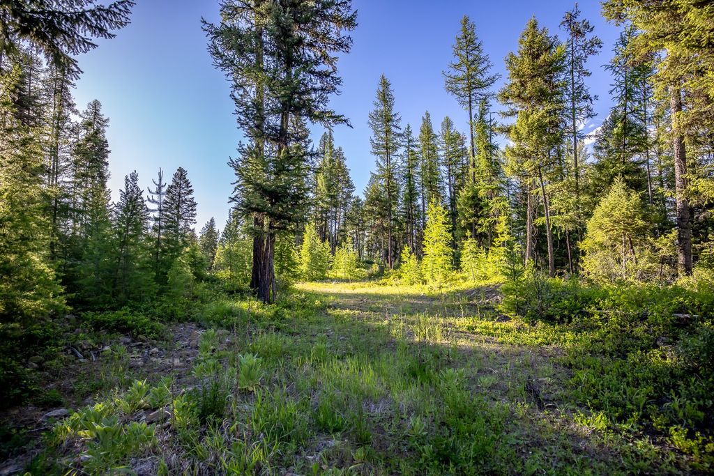 300 Salish Mountains Drive, Whitefish, MT 59937 photo 86