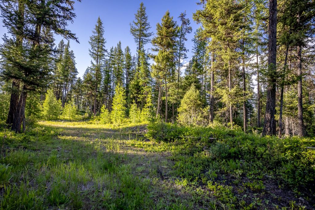 300 Salish Mountains Drive, Whitefish, MT 59937 photo 87