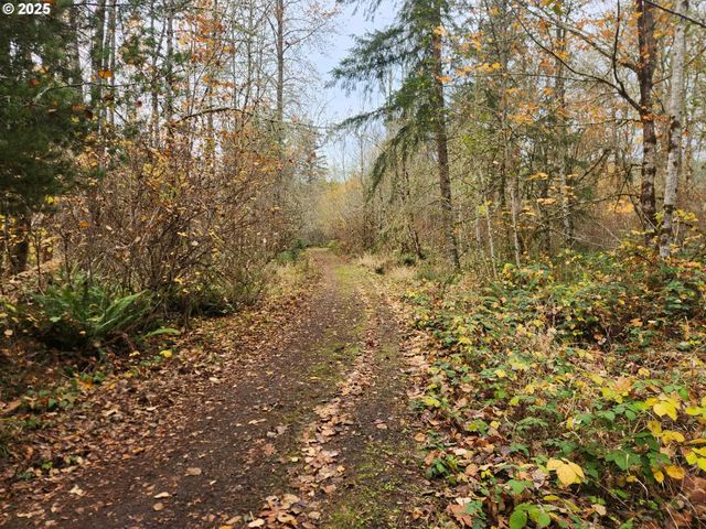 8974 Spirit Lake Hwy, Toutle, WA 98649