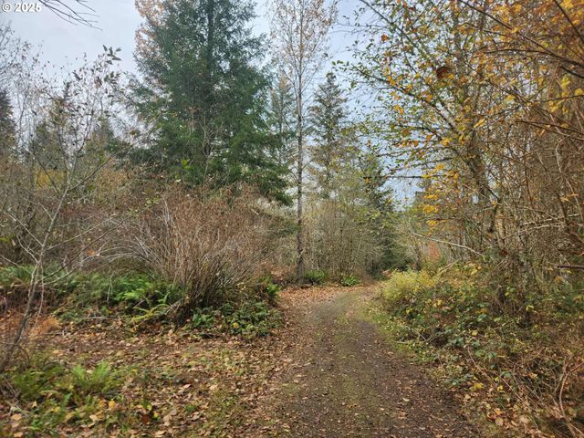 8974 Spirit Lake Hwy, Toutle, WA 98649