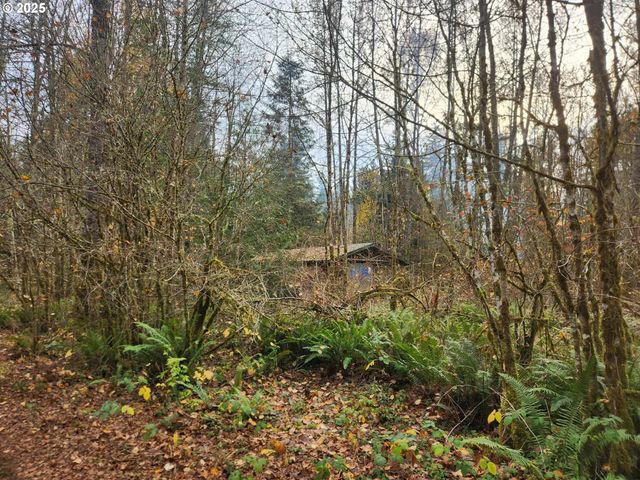 8974 Spirit Lake Hwy, Toutle, WA 98649