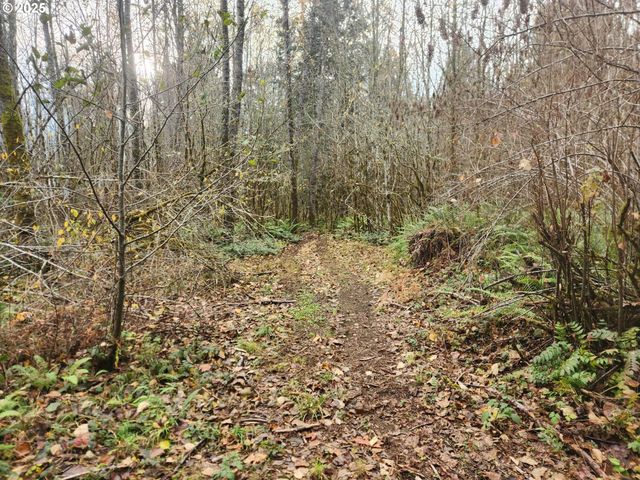 8974 Spirit Lake Hwy, Toutle, WA 98649