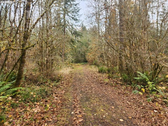 8974 Spirit Lake Hwy, Toutle, WA 98649