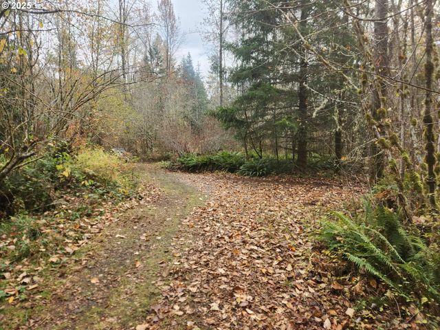 8974 Spirit Lake Hwy, Toutle, WA 98649