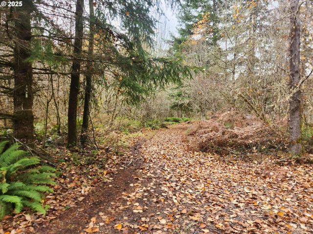 8974 Spirit Lake Hwy, Toutle, WA 98649