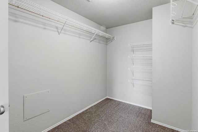 25513 Gold Yarrow, San Antonio, TX 78260