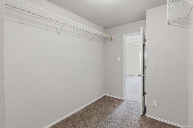 25513 Gold Yarrow, San Antonio, TX 78260