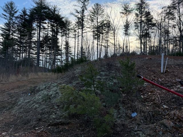 157 Blair Lane, Murphy, NC 28906