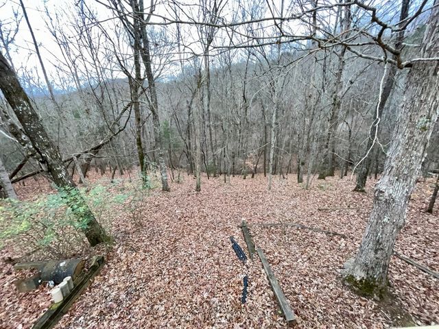 31 Longview Drive, Hayesville, NC 28904