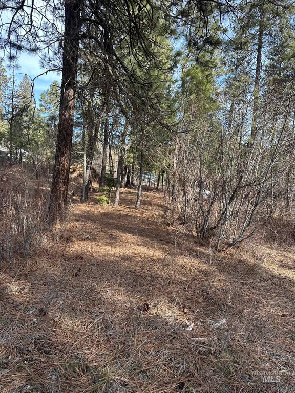 TBD Cloudy Ln, Garden Valley, ID 83622 photo 12