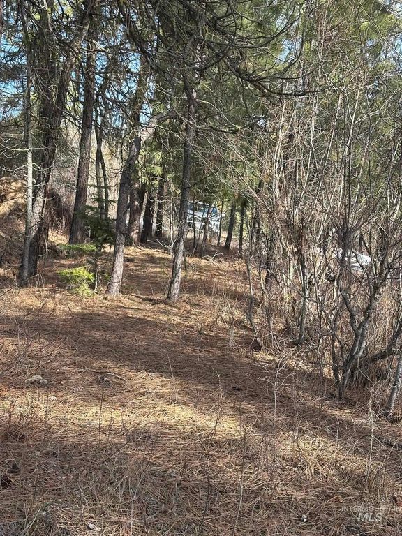 TBD Cloudy Ln, Garden Valley, ID 83622 photo 13