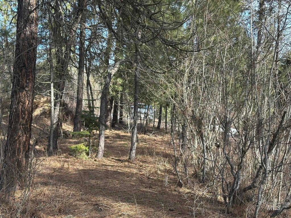 TBD Cloudy Ln, Garden Valley, ID 83622 photo 14