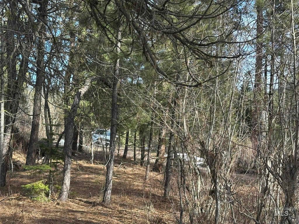 TBD Cloudy Ln, Garden Valley, ID 83622 photo 15