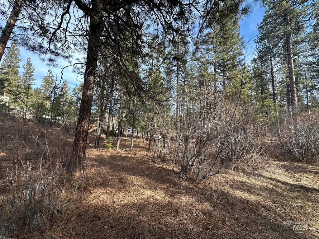 TBD Cloudy Ln, Garden Valley, ID 83622 photo 16