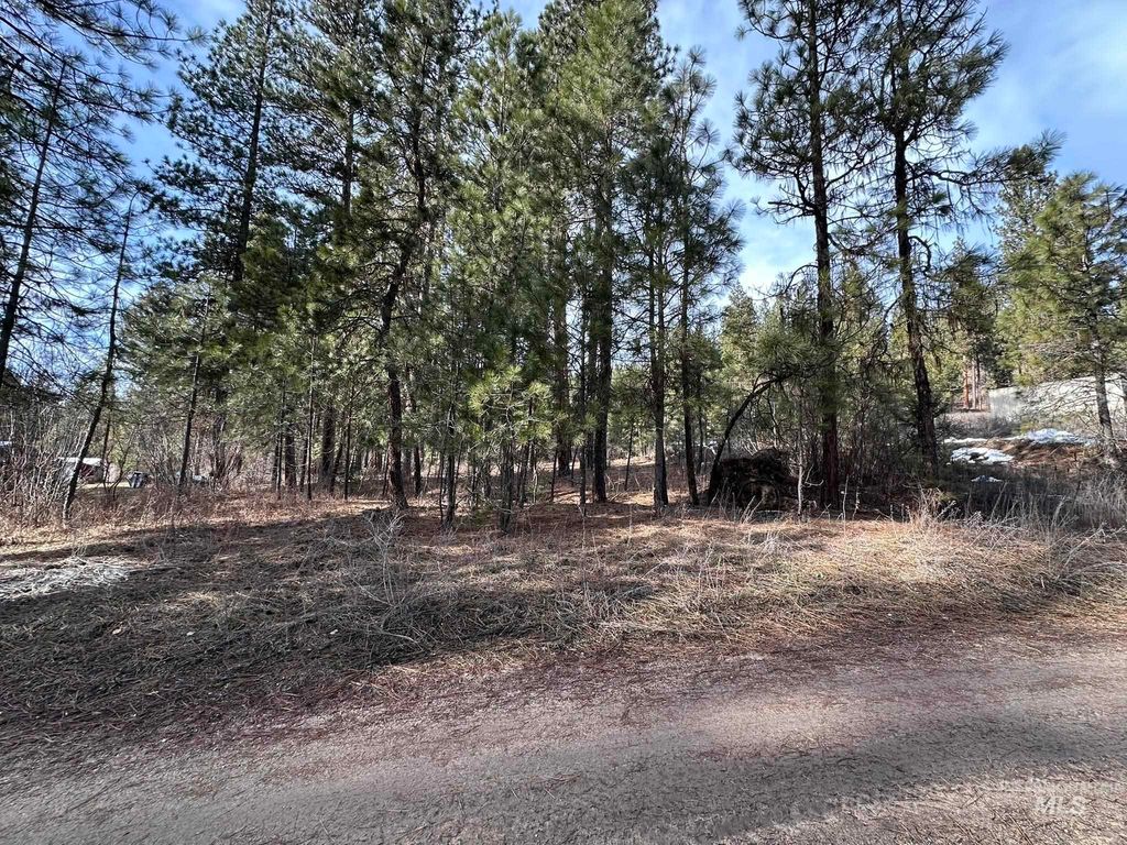 TBD Cloudy Ln, Garden Valley, ID 83622 photo 2
