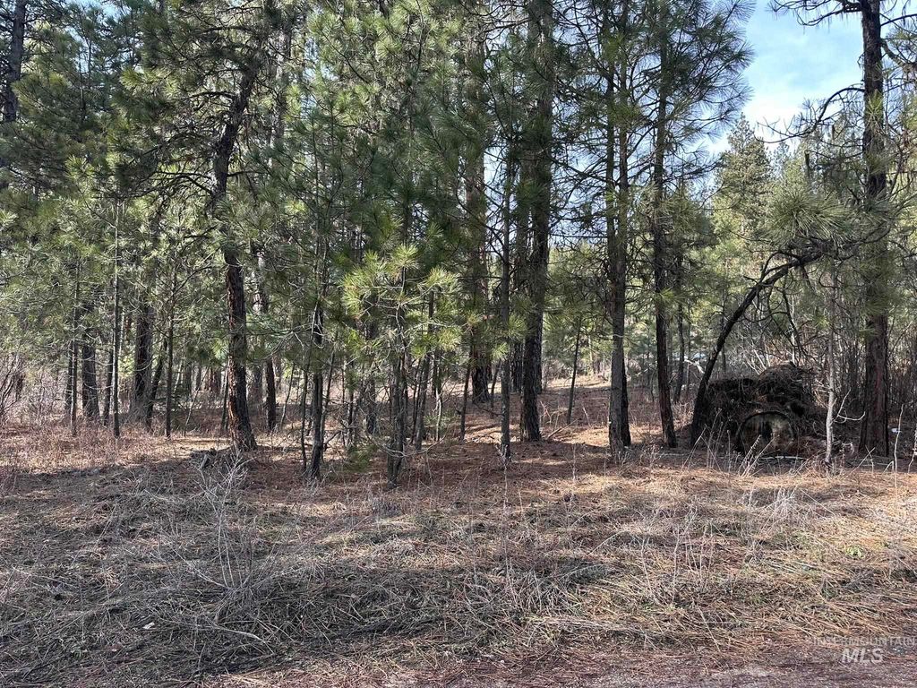 TBD Cloudy Ln, Garden Valley, ID 83622 photo 3