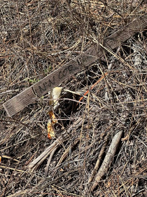 TBD Cloudy Ln, Garden Valley, ID 83622 photo 4