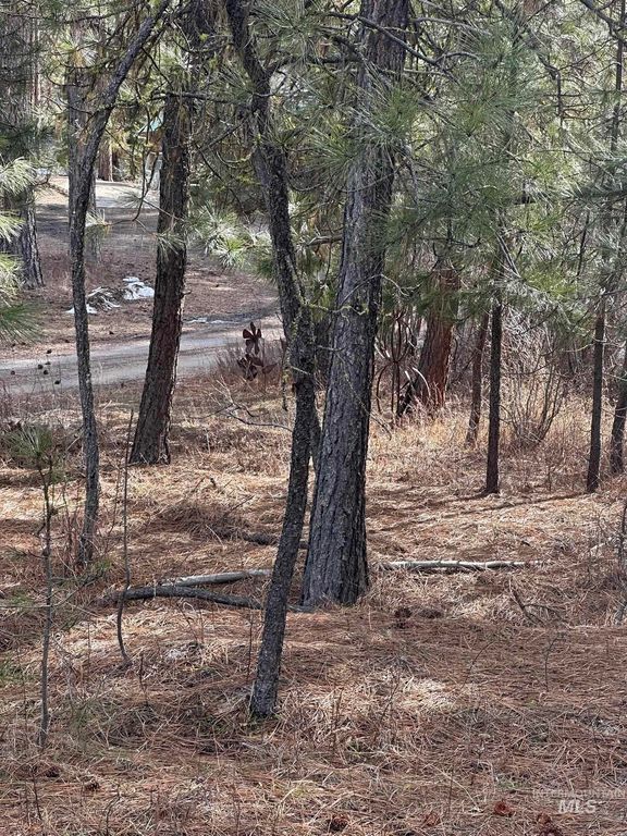 TBD Cloudy Ln, Garden Valley, ID 83622 photo 5