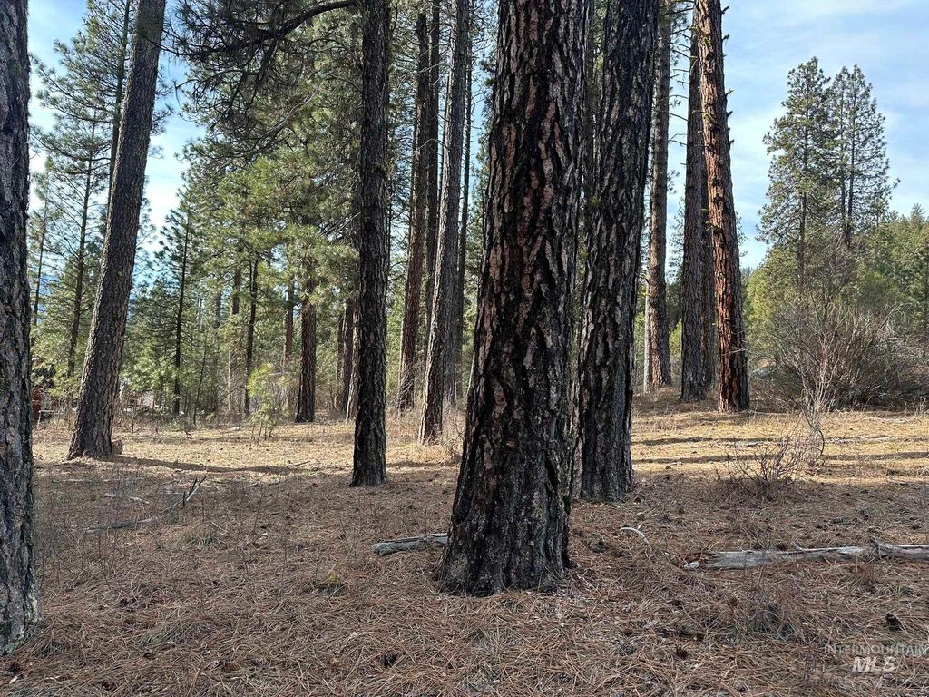 TBD Cloudy Ln, Garden Valley, ID 83622 photo 6