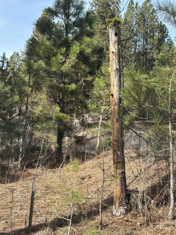 TBD Cloudy Ln, Garden Valley, ID 83622 photo 7