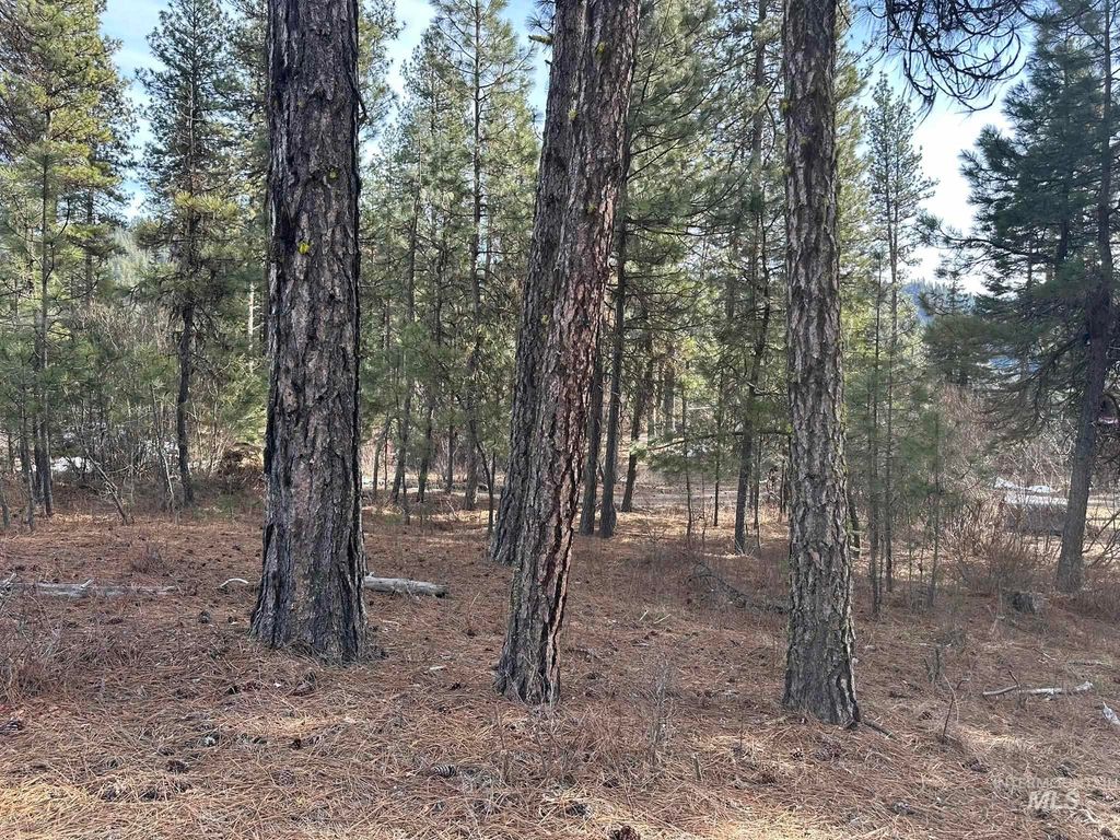 TBD Cloudy Ln, Garden Valley, ID 83622 photo 8