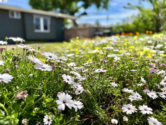 980 Victoria Ave, San Leandro, CA 94577