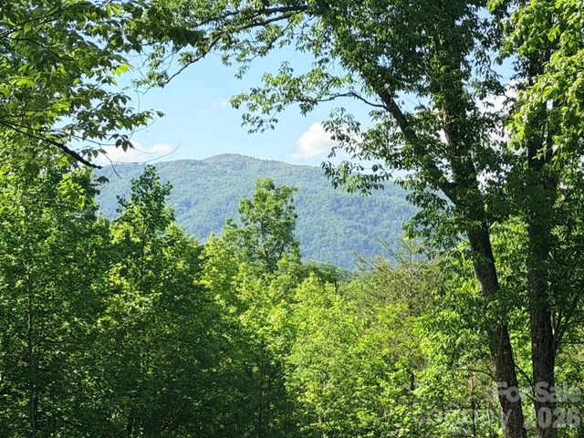 Lot 8 High Rock Ridge, Lake Lure, NC 28746