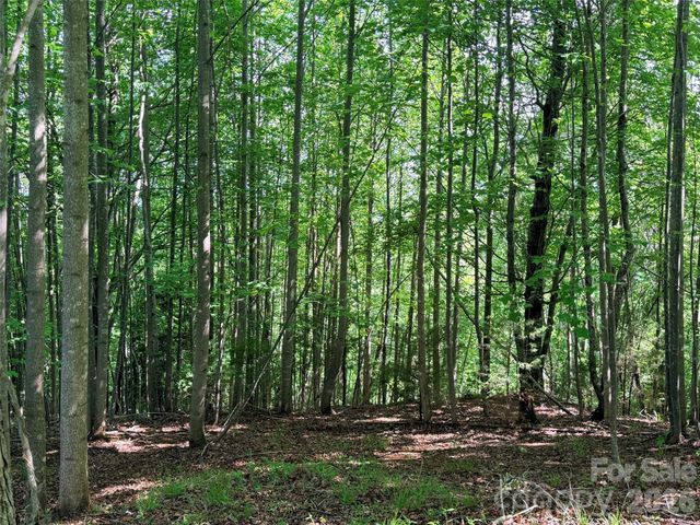 Lot 8 High Rock Ridge, Lake Lure, NC 28746