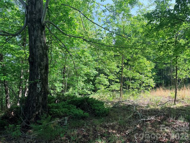 Lot 8 High Rock Ridge, Lake Lure, NC 28746