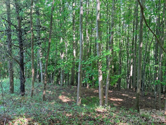 Lot 8 High Rock Ridge, Lake Lure, NC 28746