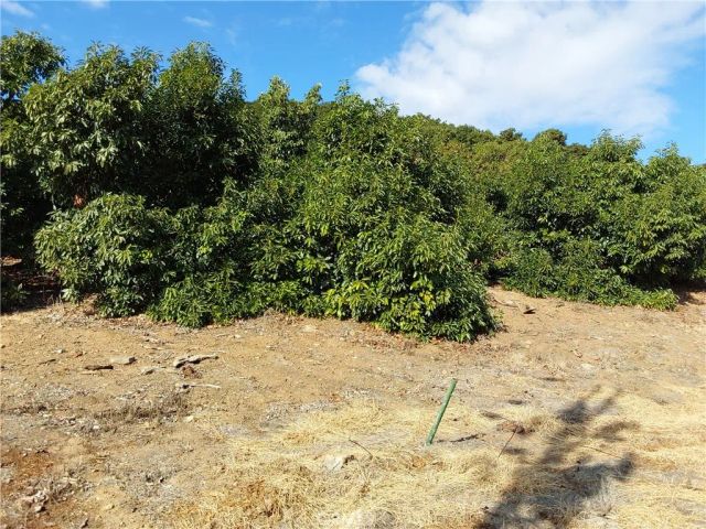 3 Via Vaquero, Temecula, CA 92590