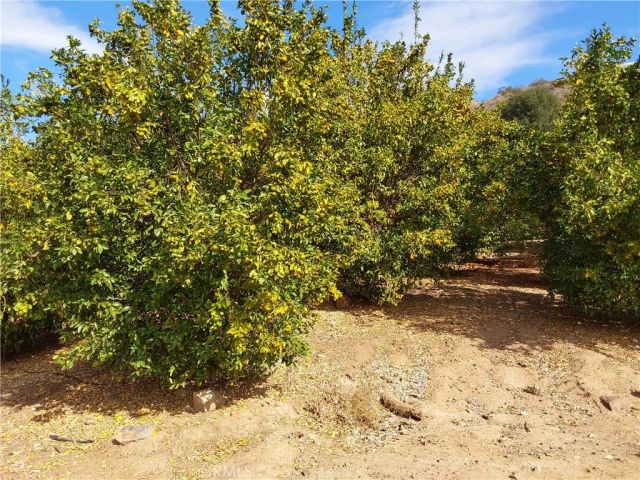 3 Via Vaquero, Temecula, CA 92590