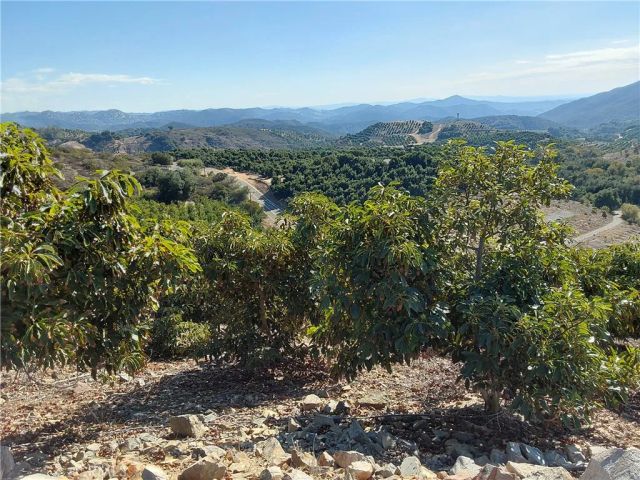 3 Via Vaquero, Temecula, CA 92590
