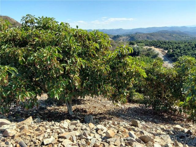 3 Via Vaquero, Temecula, CA 92590