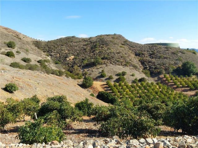 3 Via Vaquero, Temecula, CA 92590