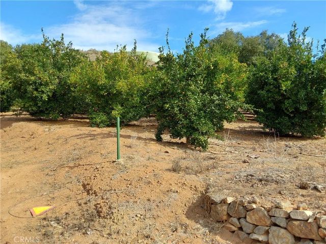 3 Via Vaquero, Temecula, CA 92590