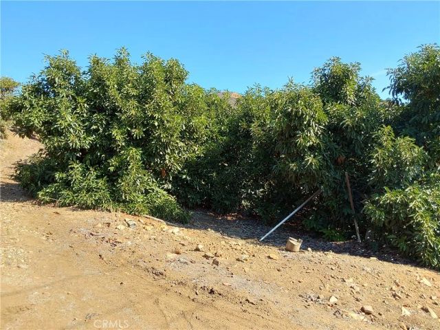 3 Via Vaquero, Temecula, CA 92590