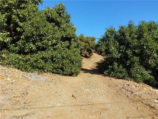 3 Via Vaquero, Temecula, CA 92590