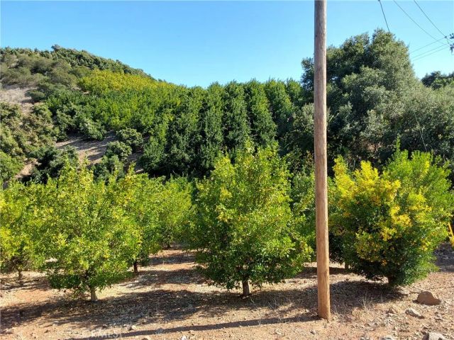 3 Via Vaquero, Temecula, CA 92590