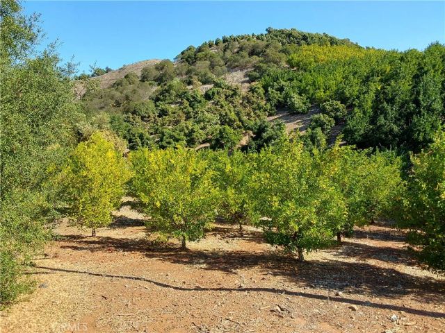 3 Via Vaquero, Temecula, CA 92590
