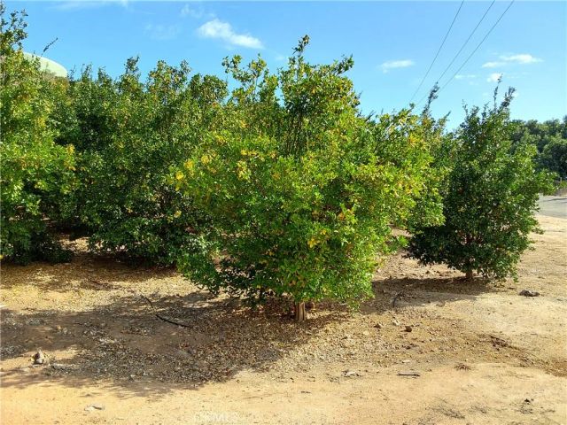 3 Via Vaquero, Temecula, CA 92590
