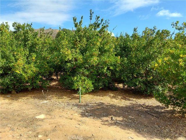 3 Via Vaquero, Temecula, CA 92590