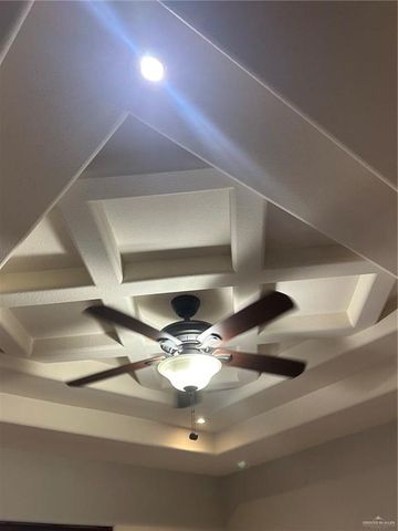 508 E Xanthisma Avenue, Mcallen, TX 78504